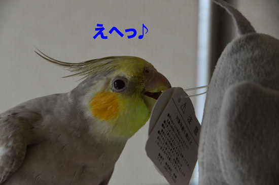 笑顔