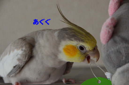 真剣!!