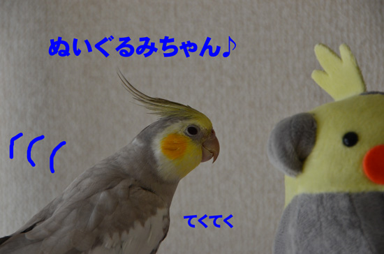歩み寄る風