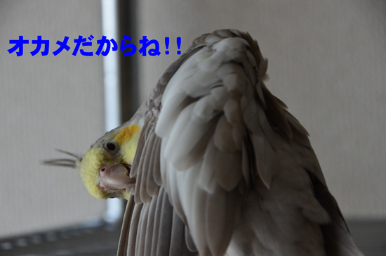 そうなの!?