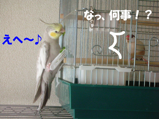 風(・・;)