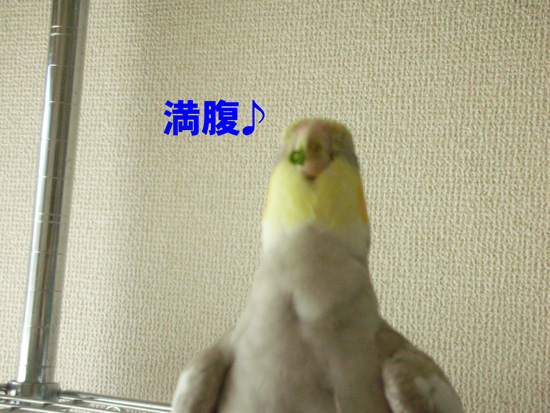 自分の分あるのに^_^;