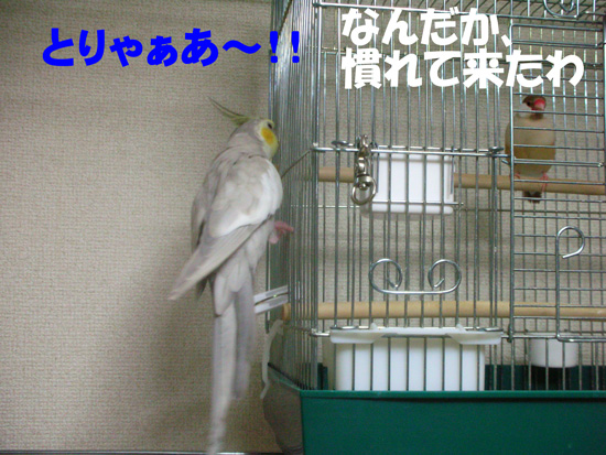 流石^_^;