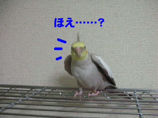 風、おいで~