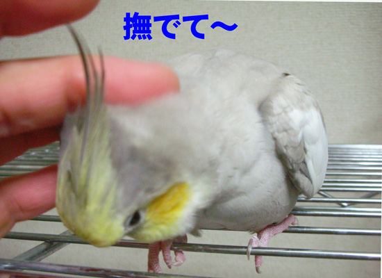 あれっ