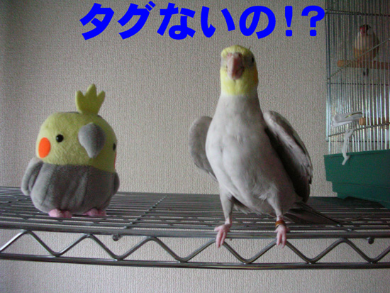 ご、ごめん