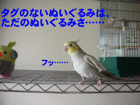 何処かで聞いたような台詞