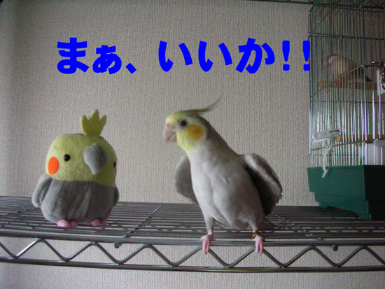 いいの!?