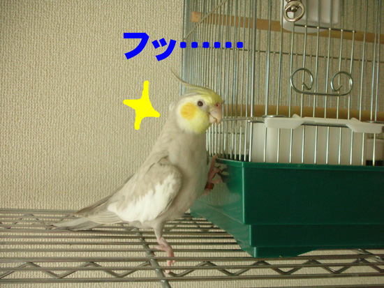 波止場ポーズ