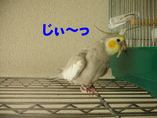 覗き!?(^_^;)