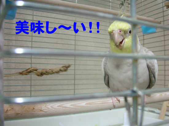 良かったね♪