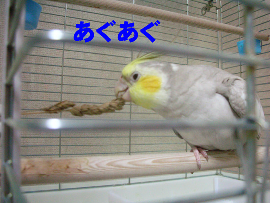 食べた!!