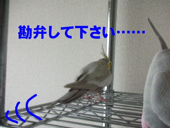 なぜ~っ