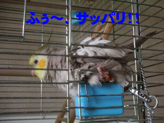 本当に???