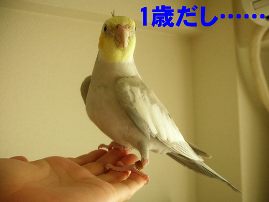 わかったってば^^;