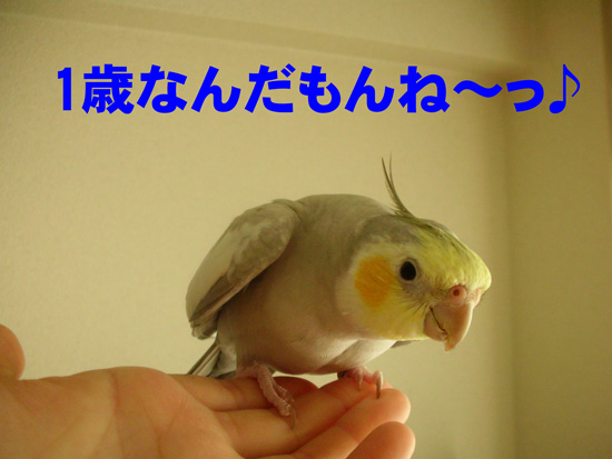 そうだよね