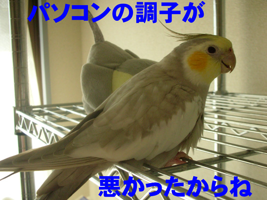 その通り!!