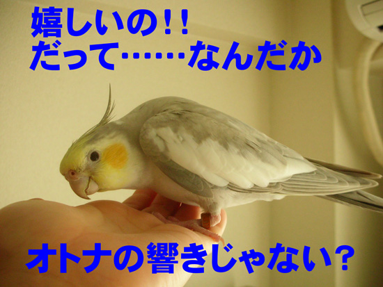 ぷぷぷっ♪