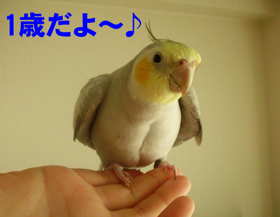 ねっ♪