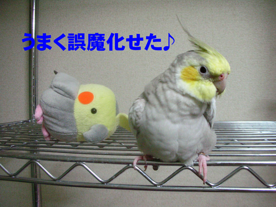 そうかなぁ