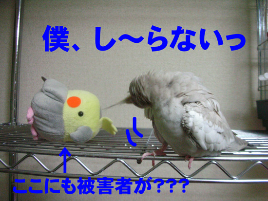 えぇ~っ