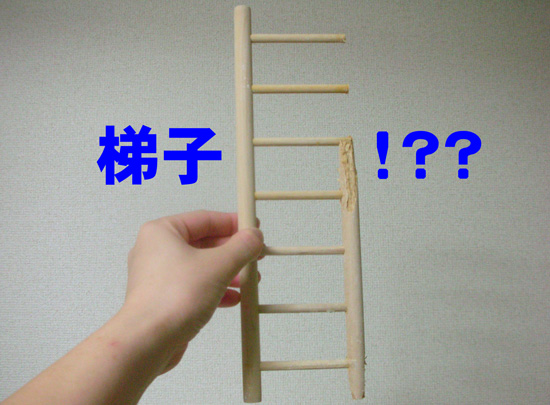 梯子……かな