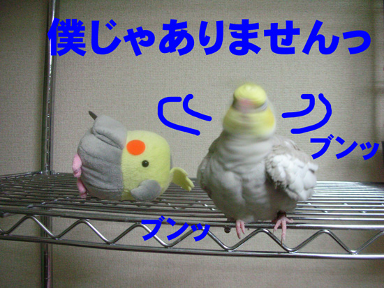 本当に~?