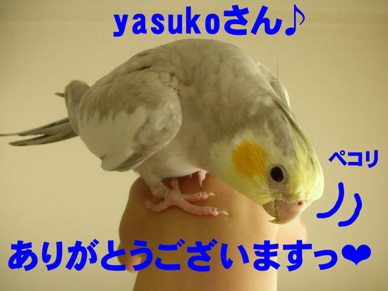 ありがとうございます)^o^(