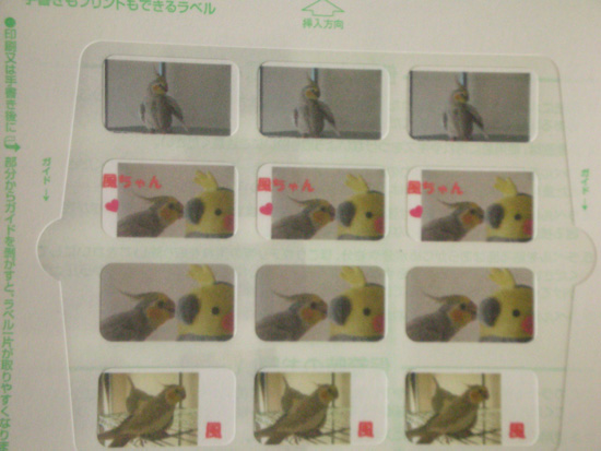 シール♪2
