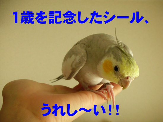 嬉しいよね♪