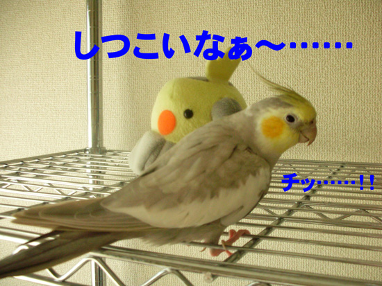 風こそ往生際が……