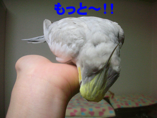 え~っ、もっと!?