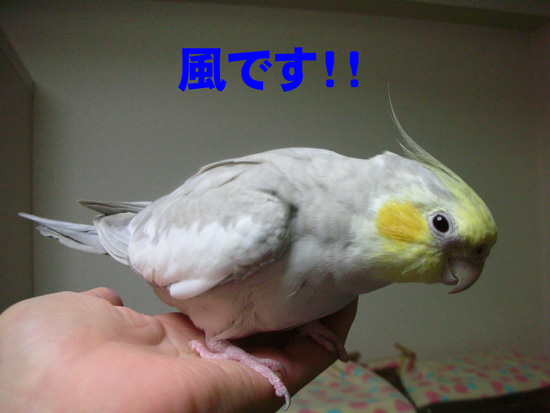 うん
