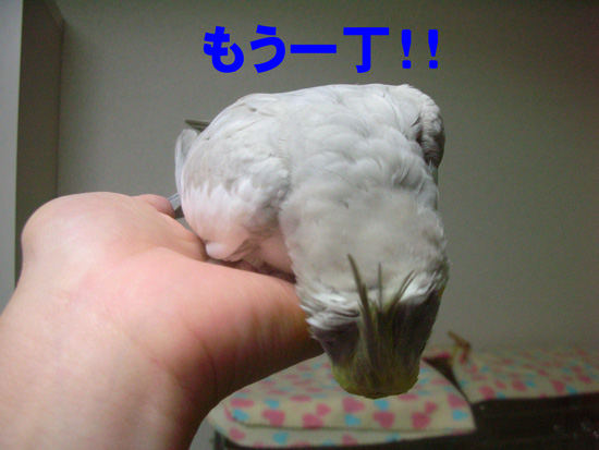え~、くしゃくしゃになるよ