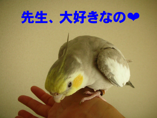 先生大好きだよね~