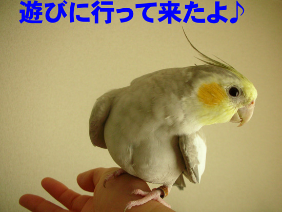 違うでしょ~
