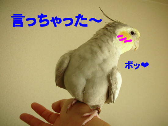 照れてるね