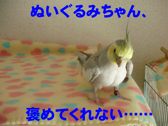 照れてるだけだよ