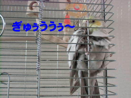 ふ、風???