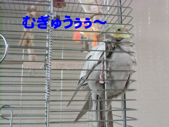 のわっ!?