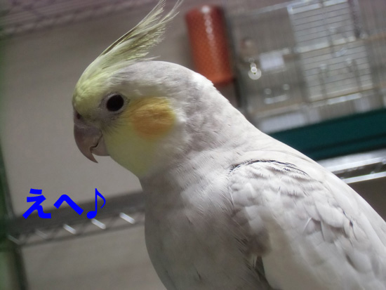 頑張ったね