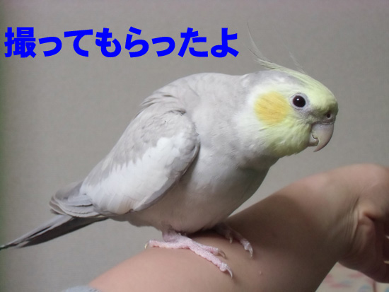 ねっ