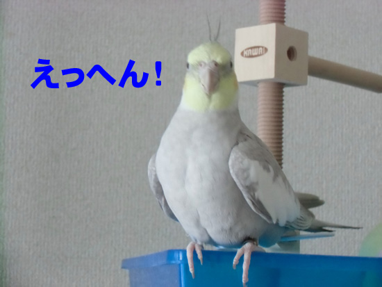 えっへん