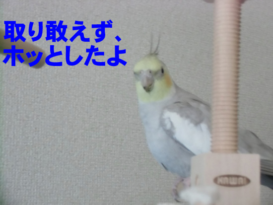 本当だよね
