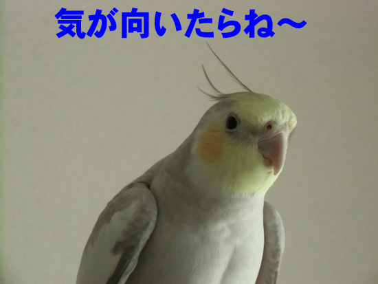覚えようとしてくれてるのか