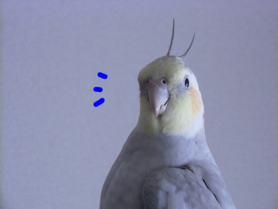 Nキュン8-037