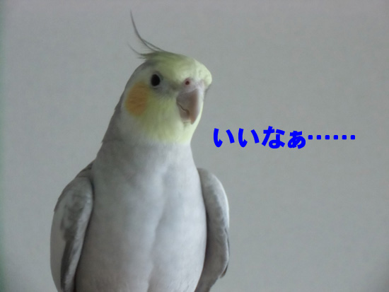 いいなぁ