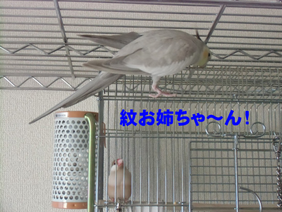 よじよじ