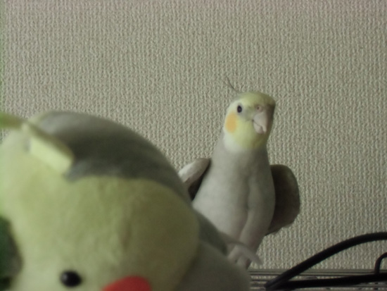 微笑ましい1枚
