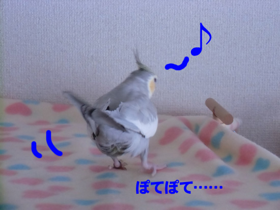おちり!!